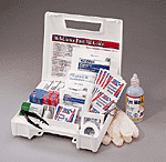 223-ULarge, 25 Person Bulk First Aid Kit, plastic case - 1 each
